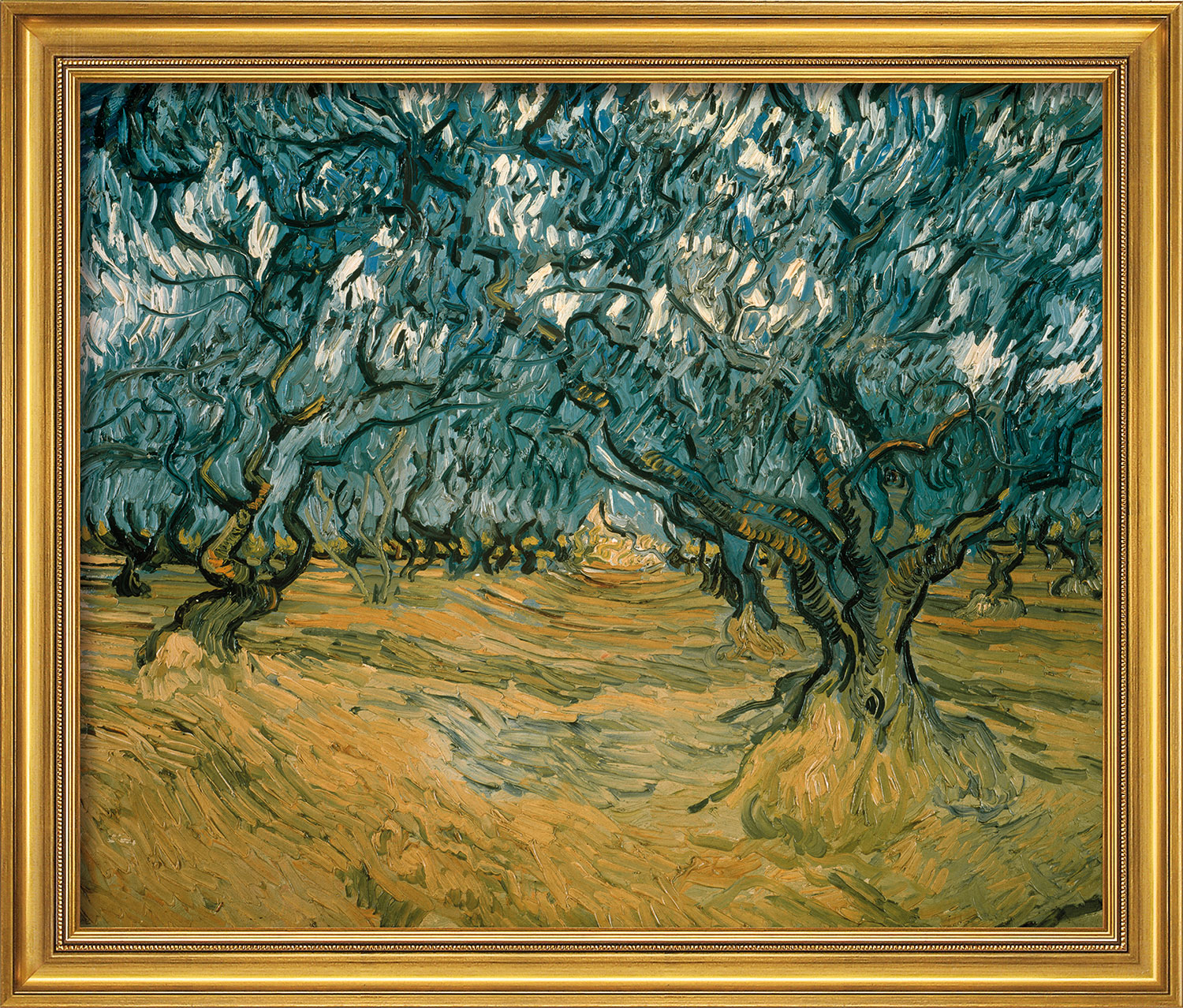 Vincent van Gogh: Bild 'Olivenbäume' (1889), gerahmt