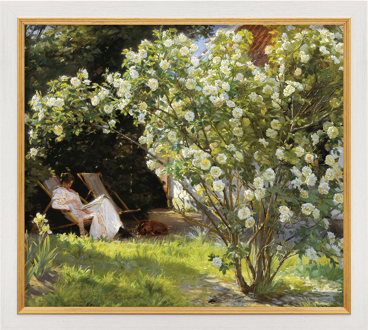 Peder Severin Kroyer: Bild 'Rosen' (1893), gerahmt