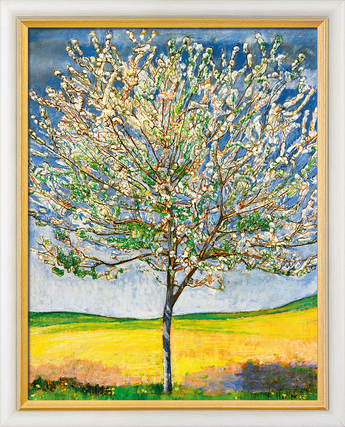 Ferdinand Hodler: Bild 'Blühender Kirschbaum' (1905), gerahmt