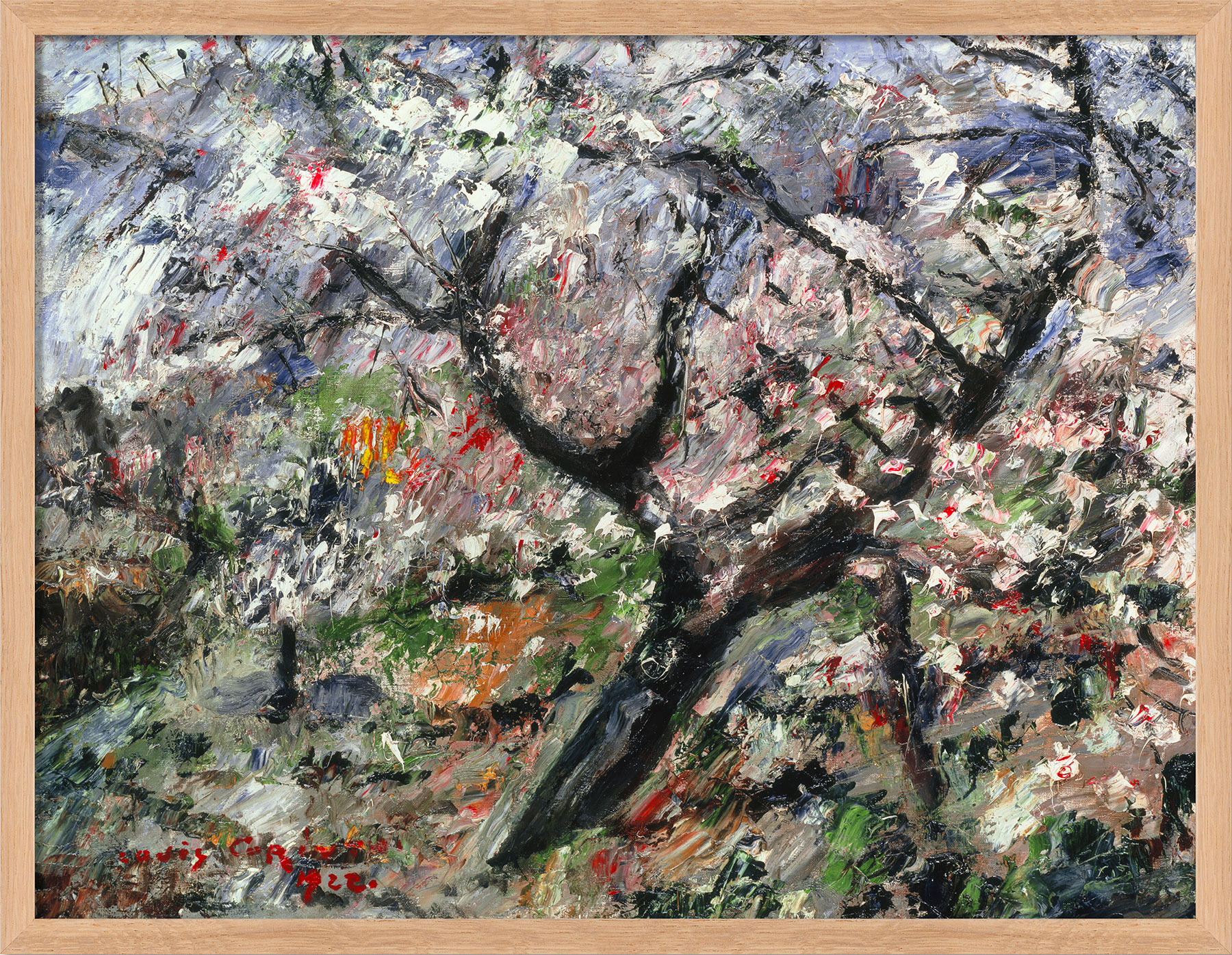 Lovis Corinth: Bild 'Blühender Apfelbaum' (1922), gerahmt