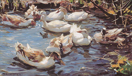 Alexander Koester: Bild 'Neun Enten im Vorfrühling', auf Keilrahmen