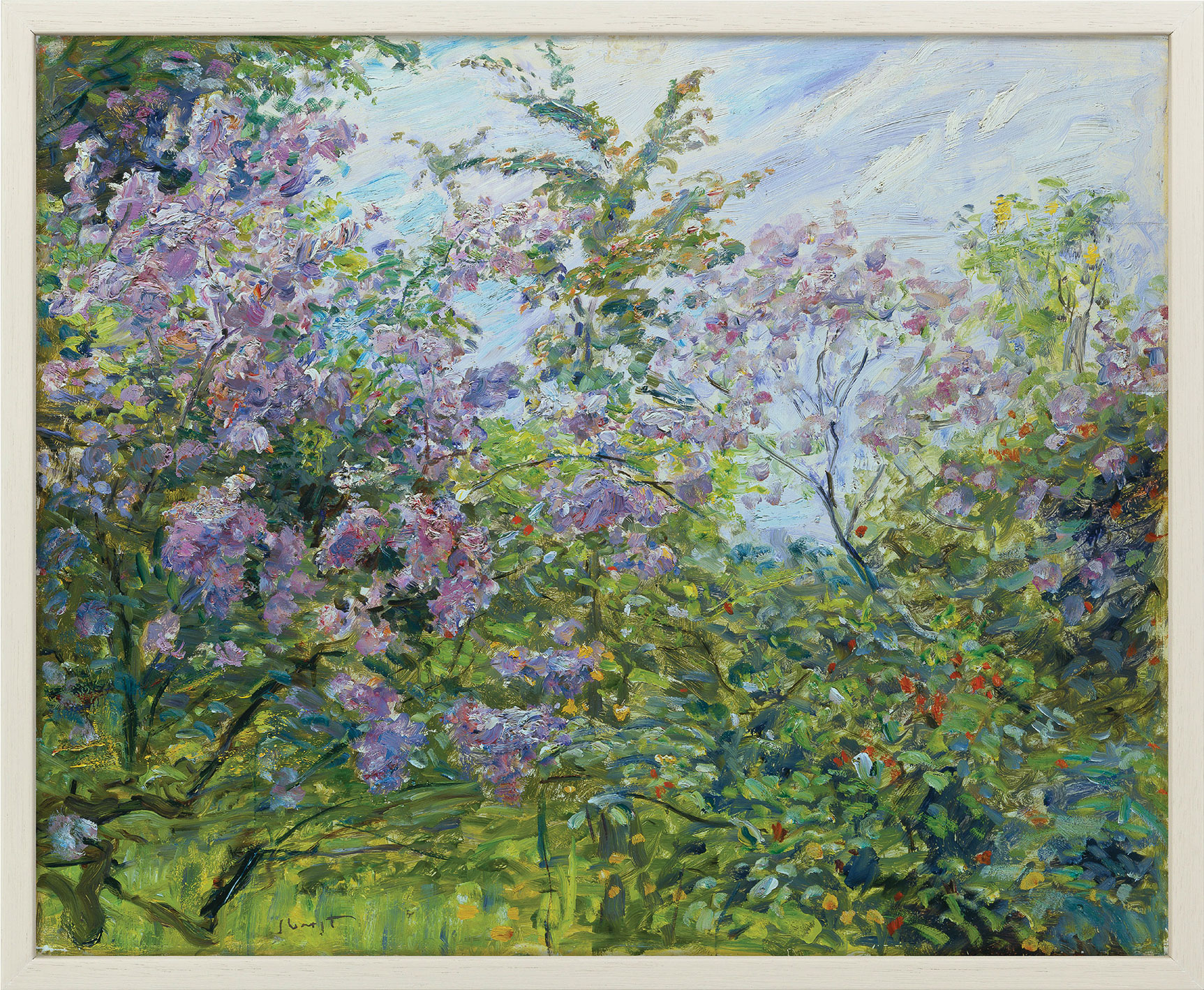 Max Slevogt: Bild 'Blühender Flieder' (um 1921), gerahmt